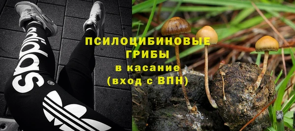 дживик Алексин
