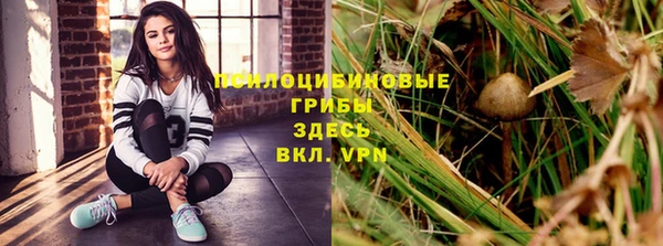 прущие крисы Алексеевка