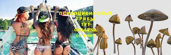 дживик Алексин