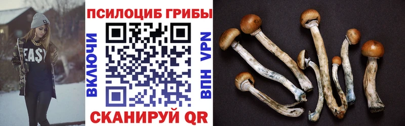 Галлюциногенные грибы MAGIC MUSHROOMS  Бронницы 